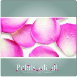 Petals البتلة