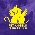 Pet Angels Colombia