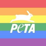 PETA UK