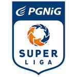 PGNiG Superliga