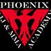 Phoenix BJJ & MMA Academy