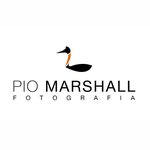 Pio Marshall R. Photography