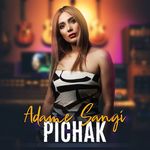 pichak_singer