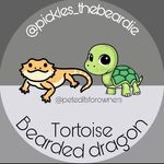 Pickles🥒 and Tortoise 🐢