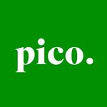 pico. the store