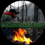 Pinetop_Guide