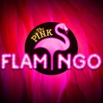 Pink Flamingo Gold Coast