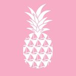 PinkPineapple Beachwear