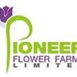 Pioneer Flower Farms