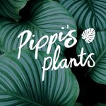 Pippi's Plants