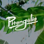 Pitangália