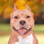 Pitbull Park | Bullies | Bully