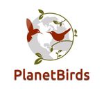 @planetbirds