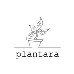 Plantara on Fitz