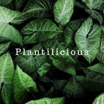 PlantiliciousIndia