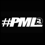 PML Chauffeur Services