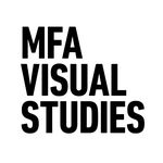 MFA Visual Studies