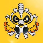 Pokeshopper.com Pokeshopper.com