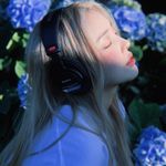 PONY 포니 PONY 포니