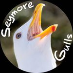 Seymore Gulls