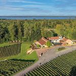 Potomac Point Winery