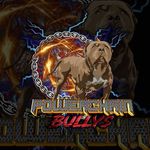 powerchainbullys