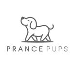 PRANCE PUPS | Custom Dog Denim