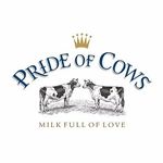 Pride of Cows