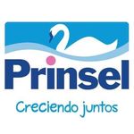 Prinsel De Centroamerica