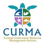 PROJECT CURMA | Sea Turtle