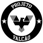 Projeto Falcão