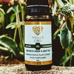 � PROLIFE CBD �