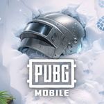 pubgmobile_id