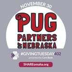 Pug Partners Of Nebraska