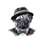 Pug Seal Hospitality Boutique