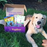 PupBox PupBox