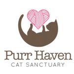 Purr Haven Cats