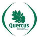 Quercus ANCN