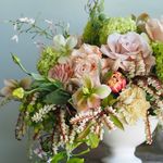 Quince Fine Florals