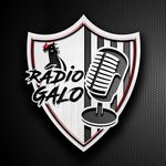 Rádio Galo News