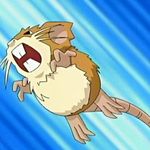 Raticate