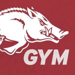 Arkansas Razorback Gymnastics