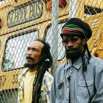 Israel Vibration