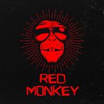 Red Monkey - Recife