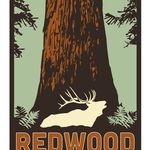 Redwood Parks Conservancy