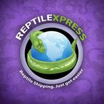 Reptile Express International