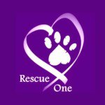 Rescue One