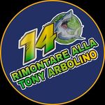 Rimontare Alla Tony Arbolino