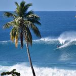 RSR || Rincon Surf Report