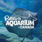 Ripley's Aquarium of Canada